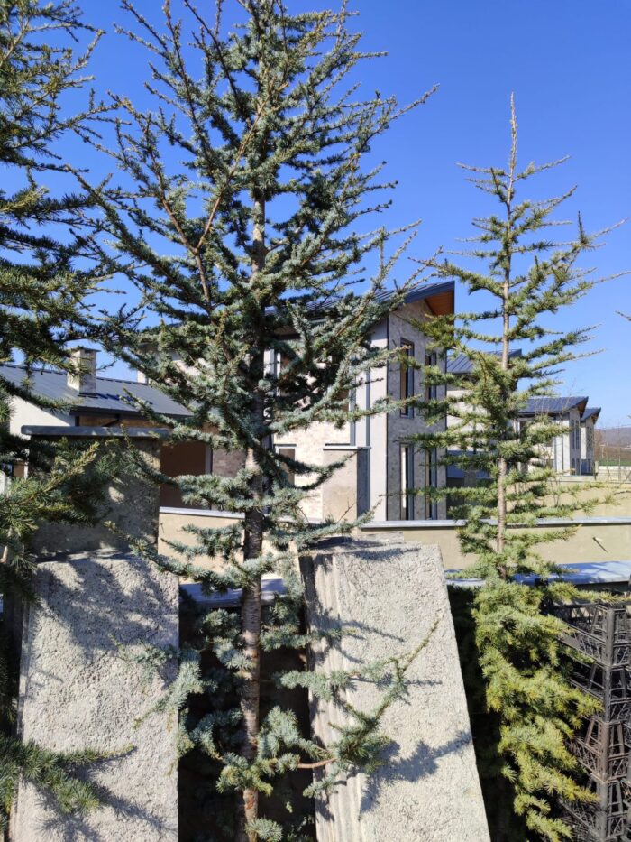 Atlas Sediri 16-18Q 3 Metre Boy - Görsel 3