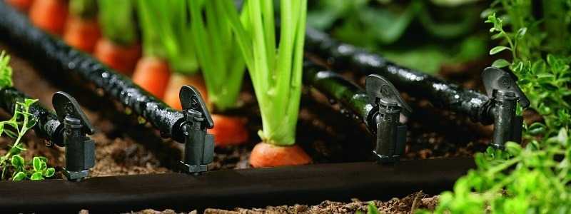 Damlama sulama nedir? Avantajları nelerdir?