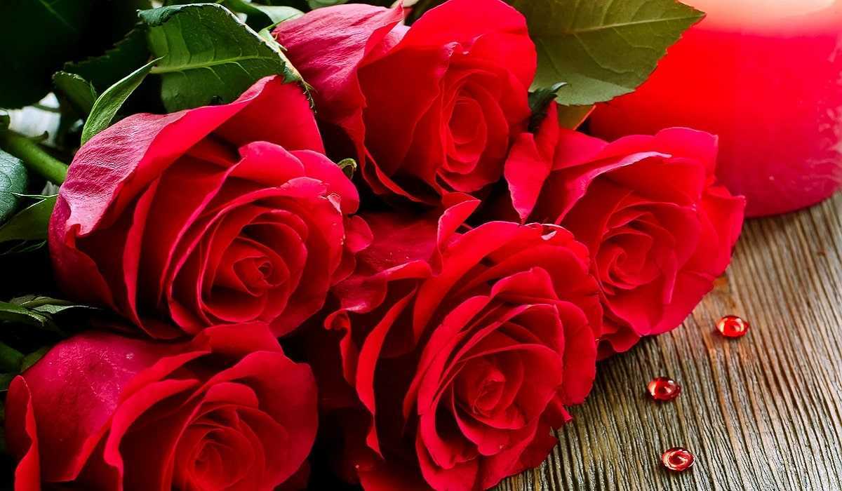 Gül nedir? Gül çeşitleri nelerdir?