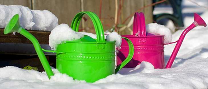 Kış Aylarında Ağaçlar Sulanır mı?