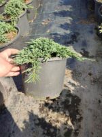 Skyrocket 250-300cm 35 Litre - Görsel 4