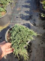 Skyrocket 250-300cm 35 Litre - Görsel 5