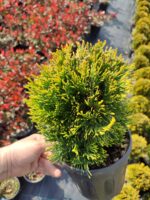 Skyrocket 250-300cm 35 Litre - Görsel 8