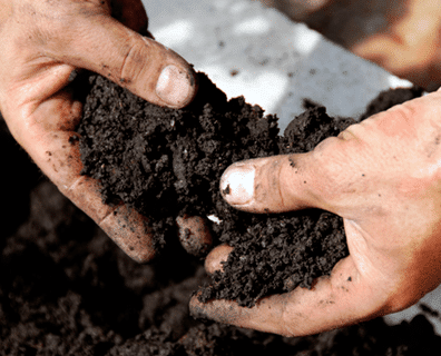 Toprak pH: Ne İfade Ediyor ve Neden Önemli?